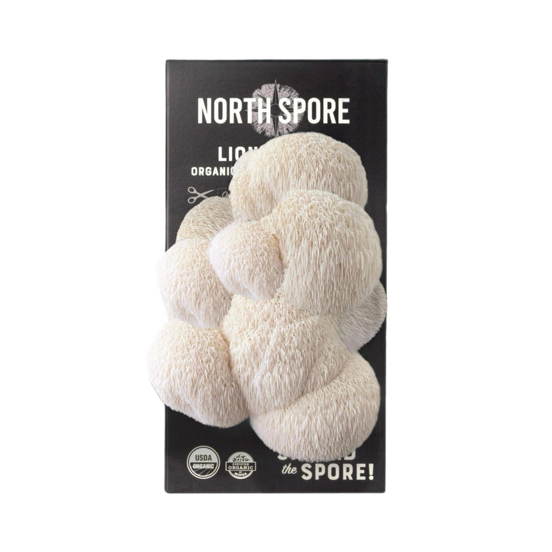 Wholesale | Organic Lion's Mane ‘Spray & Grow’ Kits