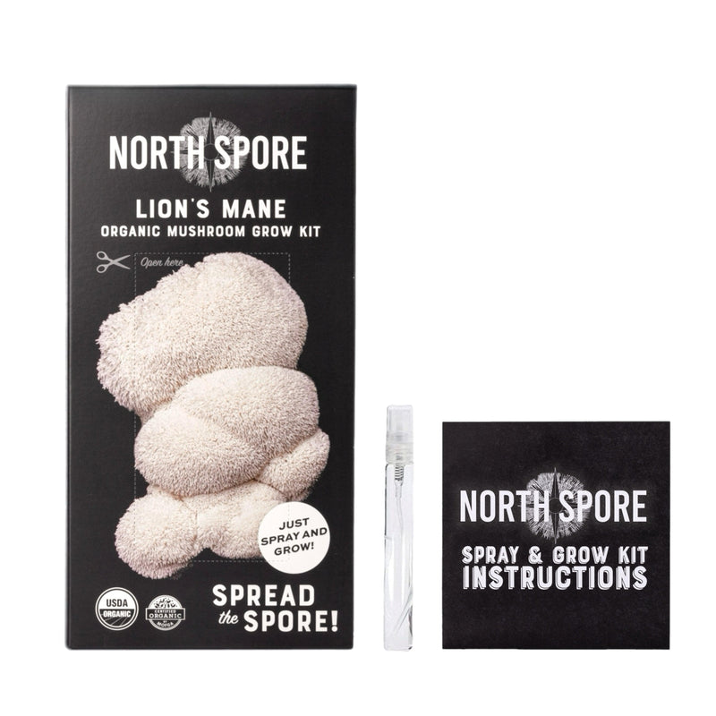 Wholesale | Organic Lion's Mane ‘Spray & Grow’ Kits