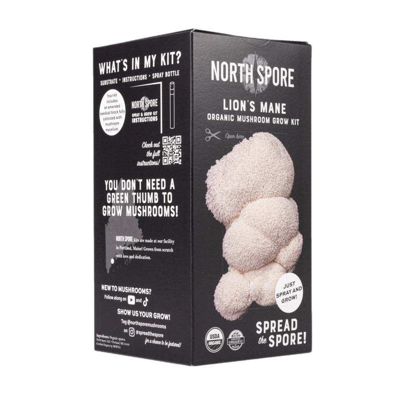 Wholesale | Organic Lion's Mane ‘Spray & Grow’ Kits