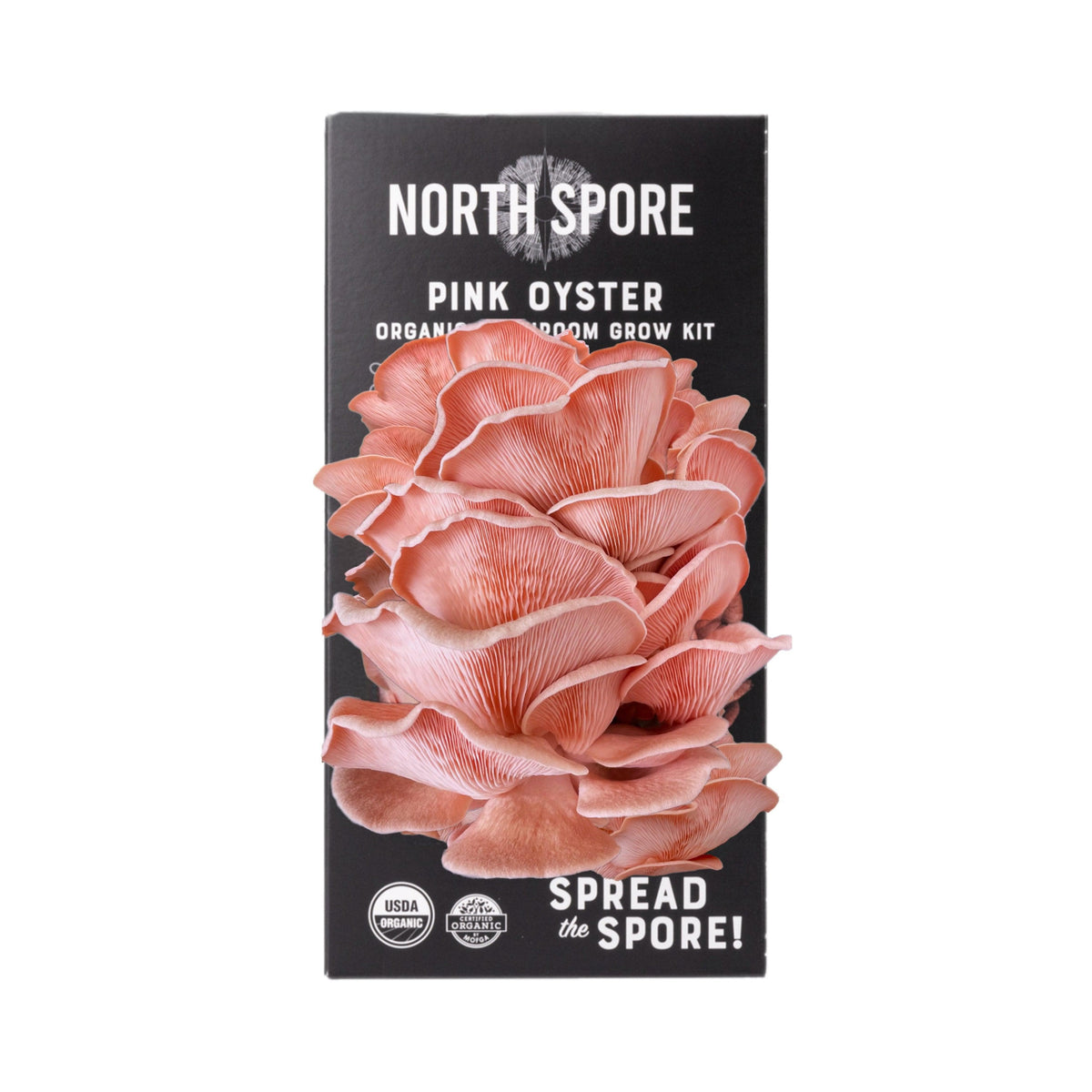 Wholesale | Organic Pink Oyster ‘Spray & Grow’ Kits
