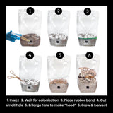 Image thumbnail: Wholesale | 'ShroomTek' All-In-One Mushroom Grow Bag