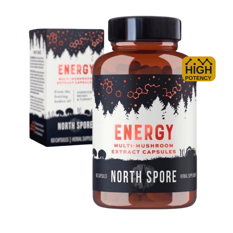 Wholesale | Organic 'Energy' Capsules 60ct (High Potency)