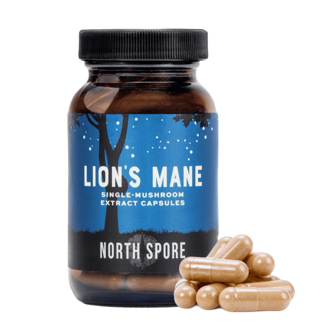 Wholesale | Organic 'Lion's Mane' Capsules 120ct (Standard Potency)