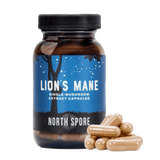 Image thumbnail: Wholesale | Organic 'Lion's Mane' Capsules 120ct (Standard Potency)