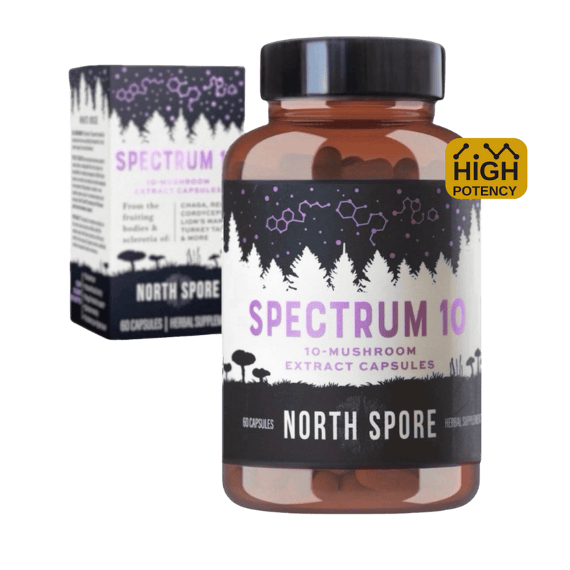 Wholesale | Organic 'Spectrum 10' Capsules 60ct (High Potency)